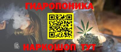 spice Свободный