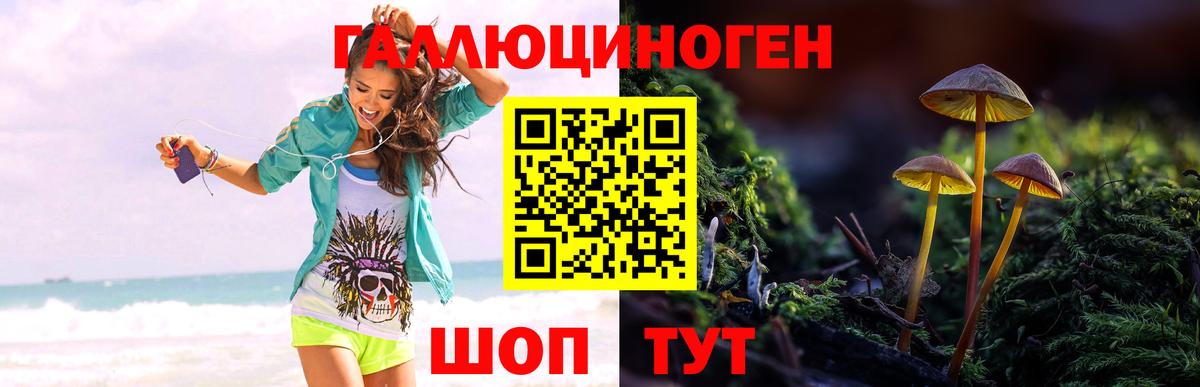 Псилоцибиновые грибы прущие грибы Нижний Тагил
